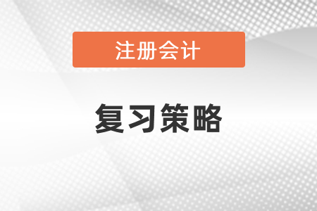 注会跟中级一起复习策略 注会跟中级一起复习策略