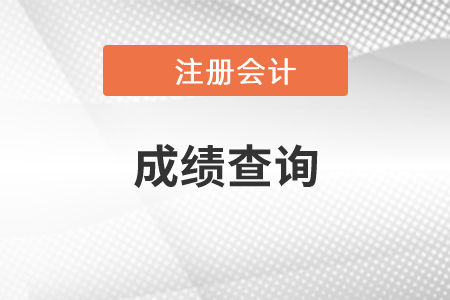 辽宁省鞍山注会成绩查询网址