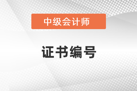 怎么查中级会计证书的证书编号？