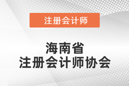 海南省定安县注册会计师协会