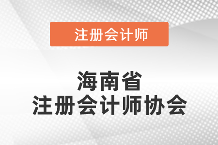 海南省儋州市注册会计师协会