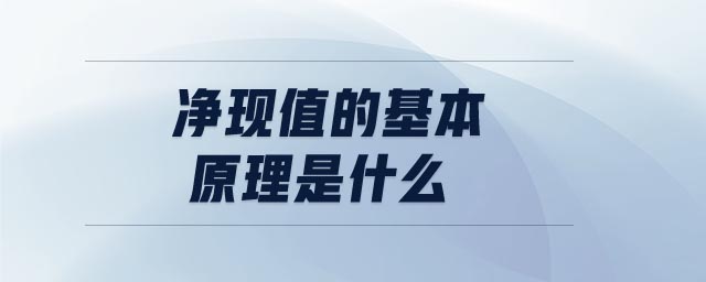 净现值的基本原理是什么
