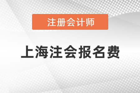 上海市宝山区注会一科报名费是多少钱