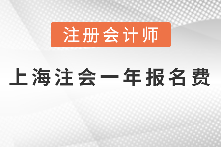 上海市徐汇区2021年注会一科报名费多少钱？