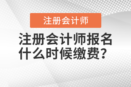 注册会计师报名什么时候缴费? 注册会计师报名什么时候缴费?