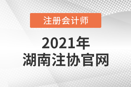 湖南省益阳注册会计师协会官网