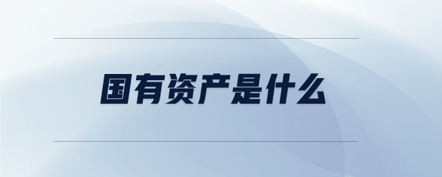 国有资产是什么