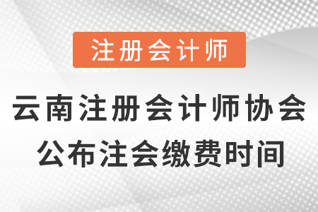 云南省文山注册会计师协会公布2021年cpa考试缴费时间