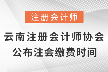 云南省文山注册会计师协会公布2021年cpa考试缴费时间