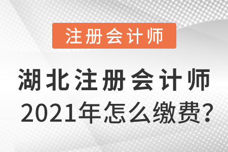 湖北省随州2021年注册会计师怎么缴费？