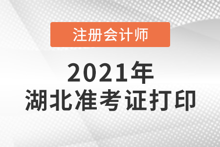 2021年湖北省孝感注册会计师准考证打印时间