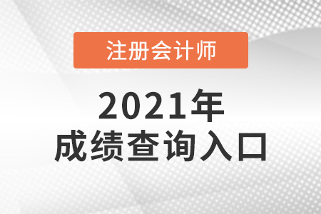 甘肃省武威注会成绩怎么查询2021年？