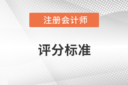 注会试题评分标准是什么？