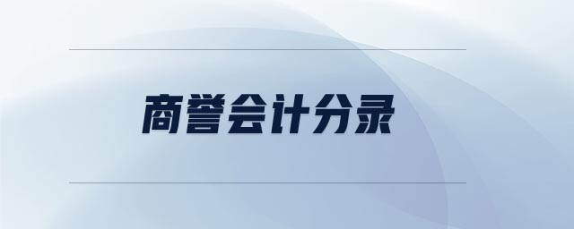 商誉会计分录 商誉会计分录