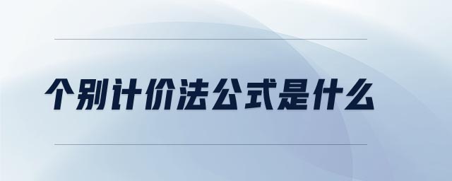 个别计价法公式是什么