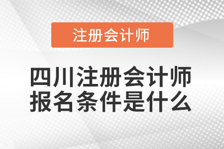四川省巴中注册会计师报名条件是什么