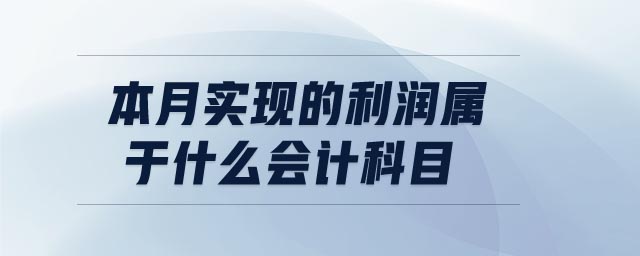 本月实现的利润属于什么会计科目