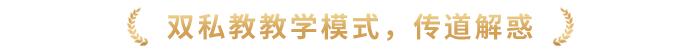 双私教教学模式,传道解惑 双私教教学模式,传道解惑
