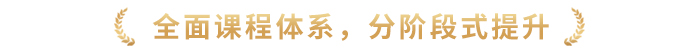 全面课程体系,分阶段式提升 全面课程体系,分阶段式提升