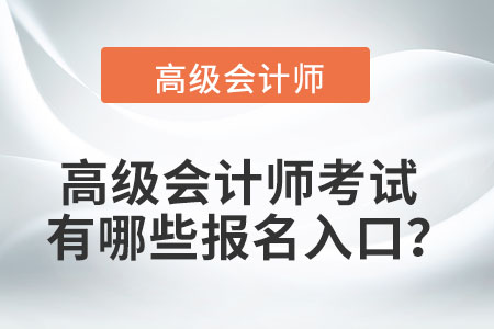 高级会计师考试有哪些报名入口？