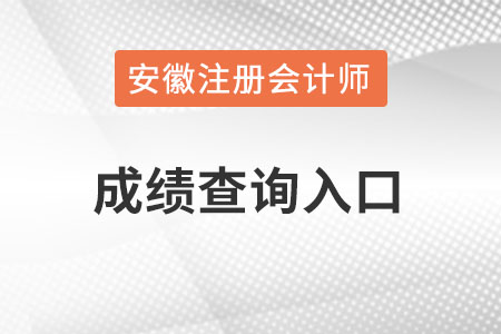 安徽省宿州cpa成绩查询入口官网？