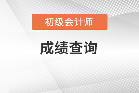 湖南省岳阳初级会计成绩查询入口在哪里？