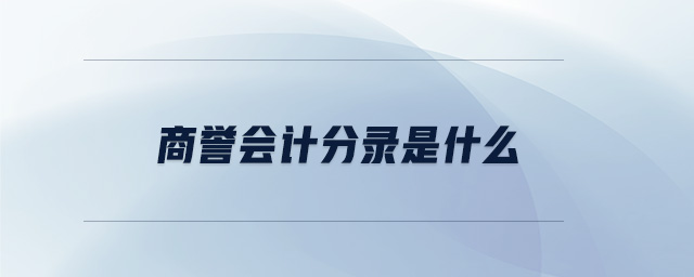 商誉会计分录是什么 商誉会计分录是什么