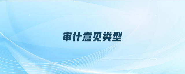 审计意见类型 审计意见类型