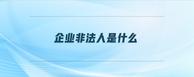 企业非法人是什么