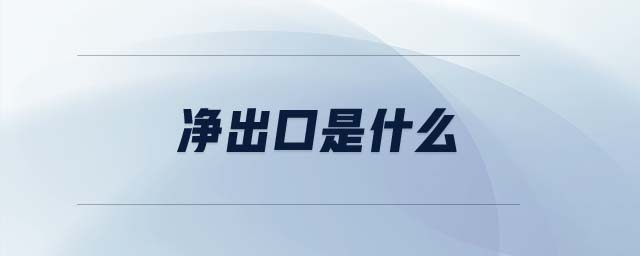 净出口是什么