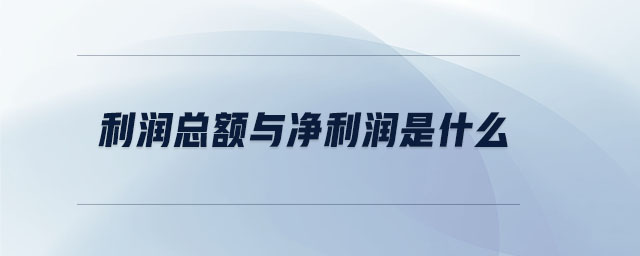 利润总额与净利润是什么 利润总额与净利润是什么
