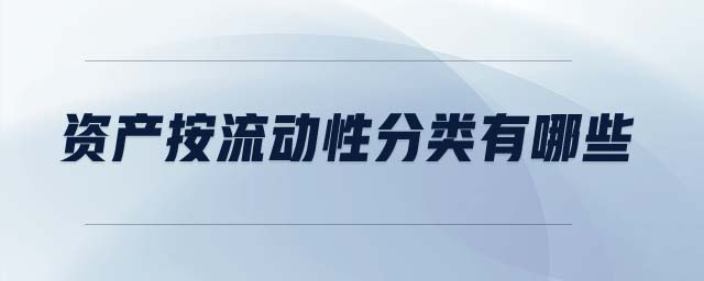 资产按流动性分类有哪些