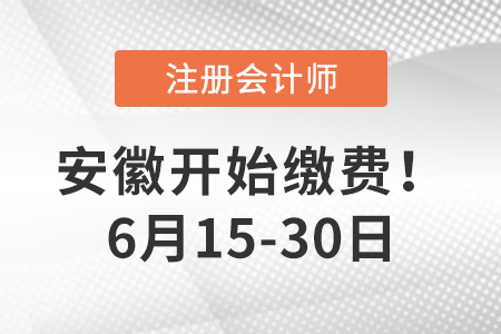 2022年安徽省宣城注册会计师缴费时间6月15日开始！缴费从速！