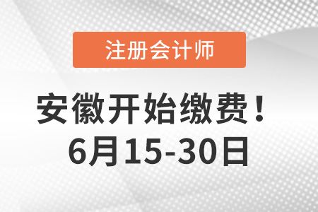 2023年安徽省马鞍山地区注会报名费用是多少？点击完成交费！