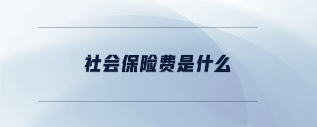 社会保险费是什么 社会保险费是什么