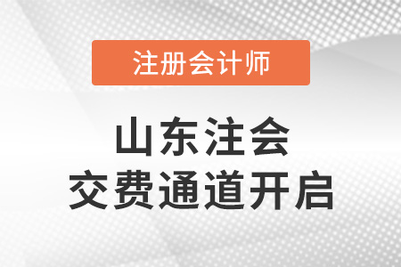 2022年山东省莱芜注册会计师考试交费通道开启！
