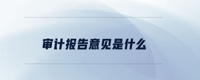 审计报告意见是什么 审计报告意见是什么