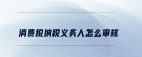 消费税纳税义务人怎么审核