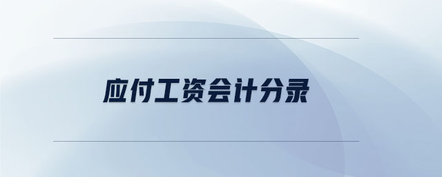 应付工资会计分录 应付工资会计分录