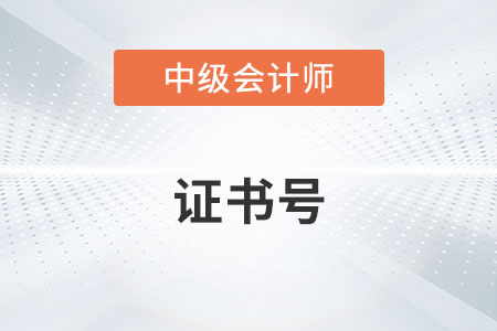 中级会计证书编码是管理号吗? 中级会计证书编码是管理号吗?