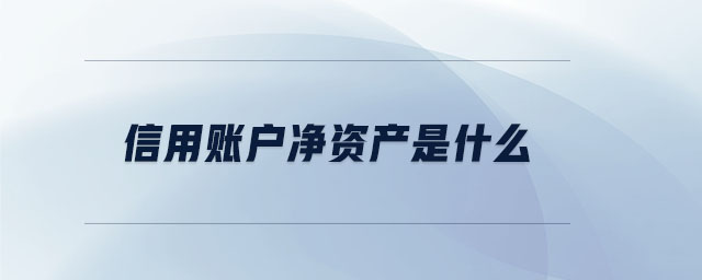 信用账户净资产是什么