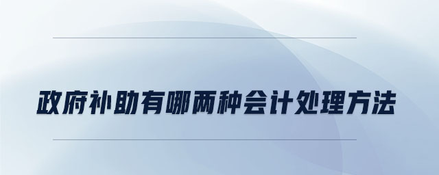 政府补助有哪两种会计处理方法 政府补助有哪两种会计处理方法