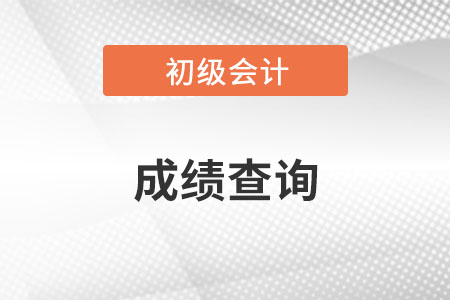 河南省驻马店初级会计成绩查询入口网址是什么？