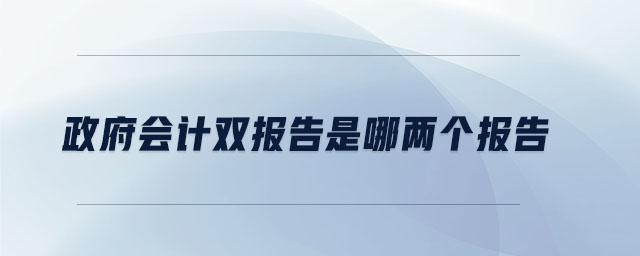 政府会计双报告是哪两个报告