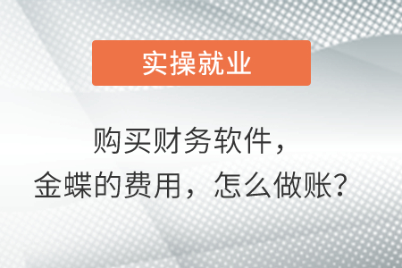 购买财务软件,金蝶的费用,怎么做账? 购买财务软件,金蝶的费用,怎么做账?