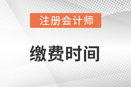 注册会计师缴费时间2023年是六月份吗？