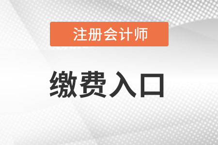 速看！中国注册会计师考试缴费入口