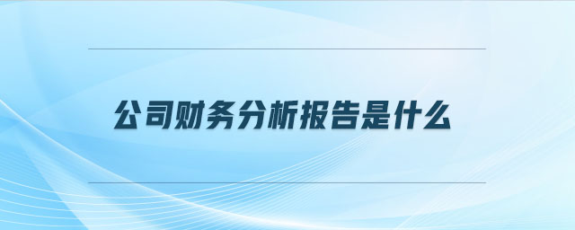 公司财务分析报告是什么