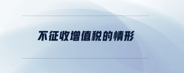 不征收增值税的情形