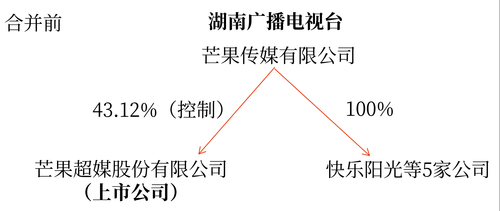 企业合并概述2